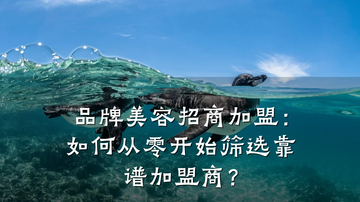 品牌美容招商加盟：如何从零开始筛选靠谱加盟商？