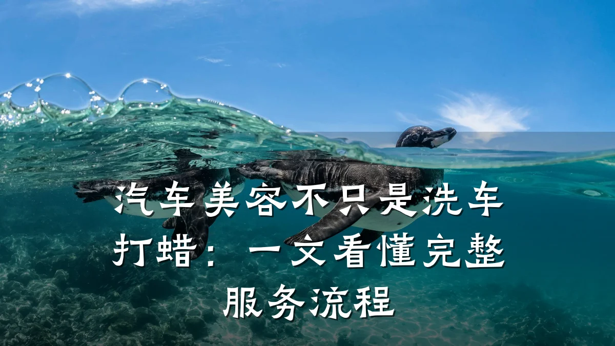 汽车美容不只是洗车打蜡:一文看懂完整服务流程