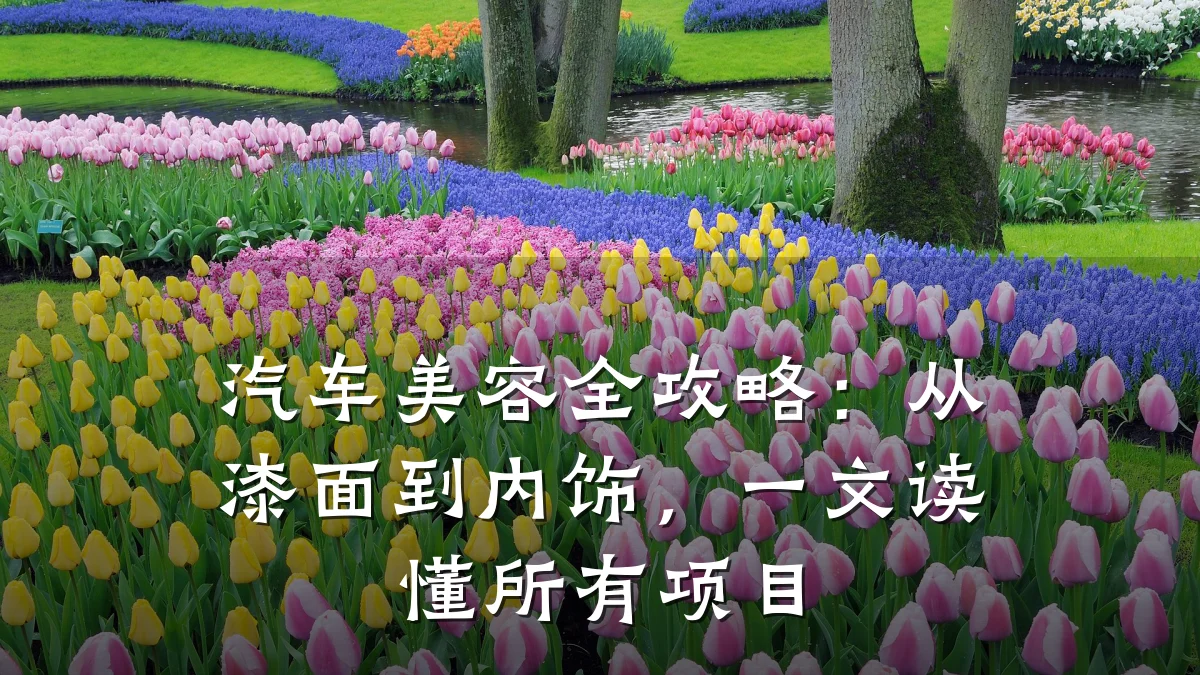 汽车美容全攻略：从漆面到内饰，一文读懂所有项目