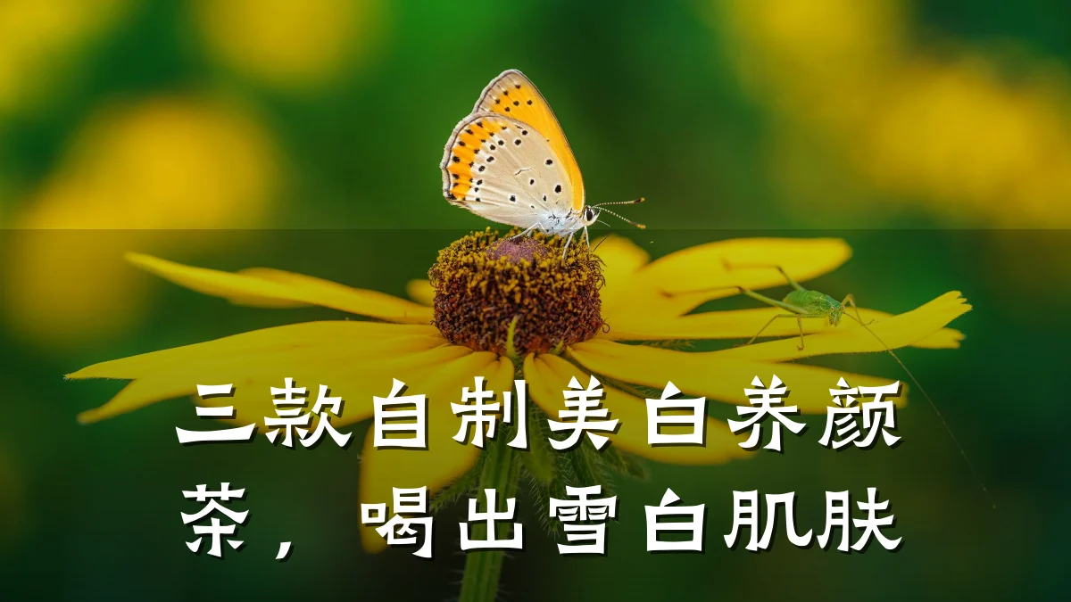 三款自制美白养颜茶，喝出雪白肌肤