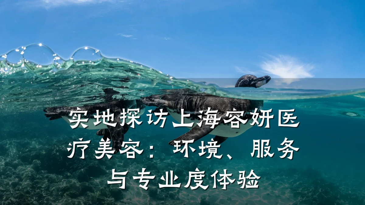 实地探访上海容妍医疗美容：环境、服务与专业度体验