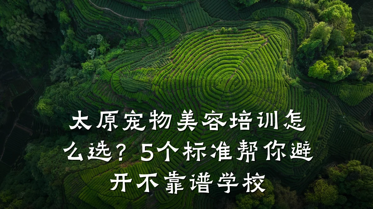 太原宠物美容培训怎么选？5个标准帮你避开不靠谱学校