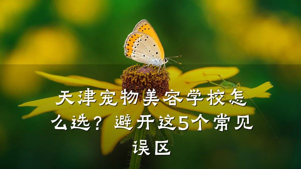 天津宠物美容学校怎么选？避开这5个常见误区