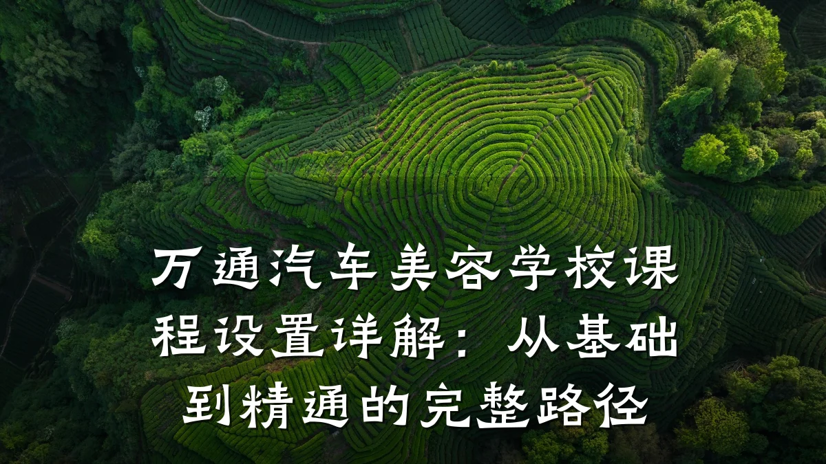 万通汽车美容学校课程设置详解：从基础到精通的完整路径
