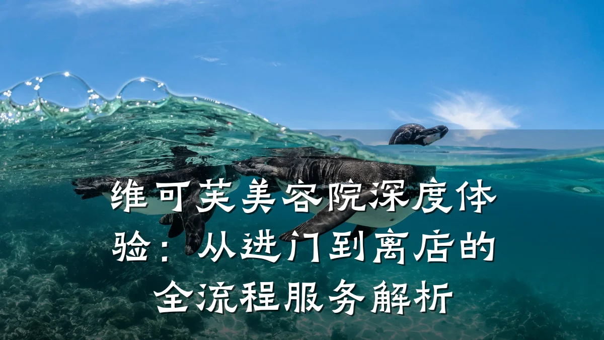 维可芙美容院深度体验：从进门到离店的全流程服务解析
