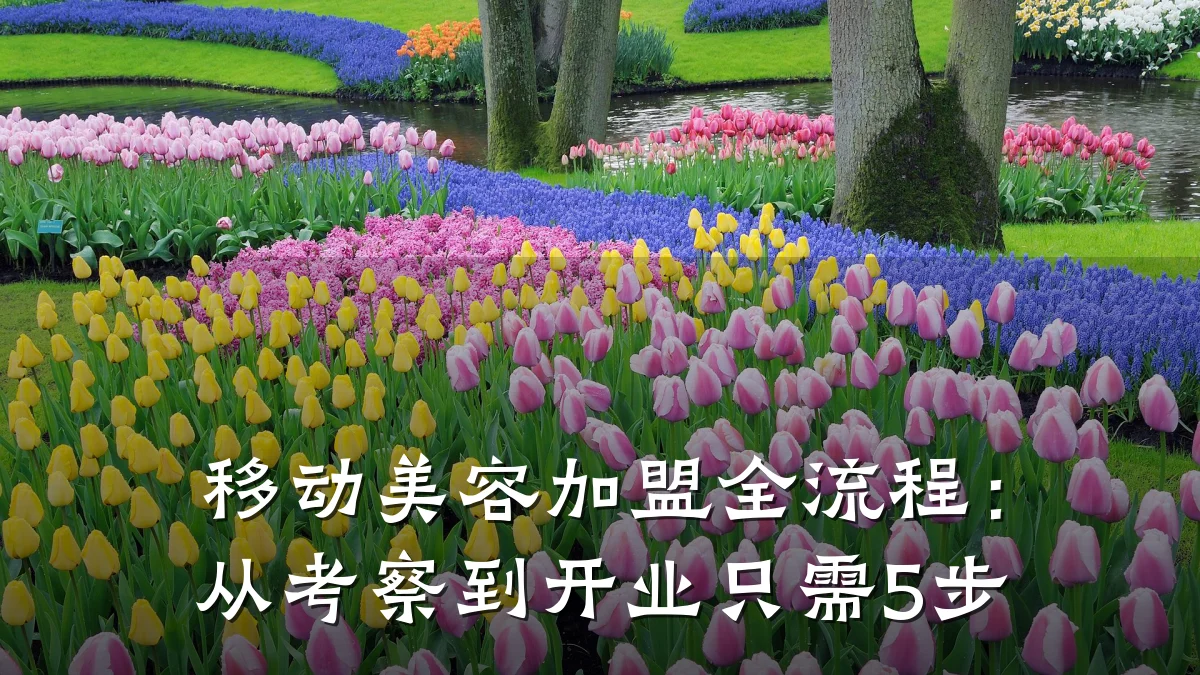 移动美容加盟全流程：从考察到开业只需5步