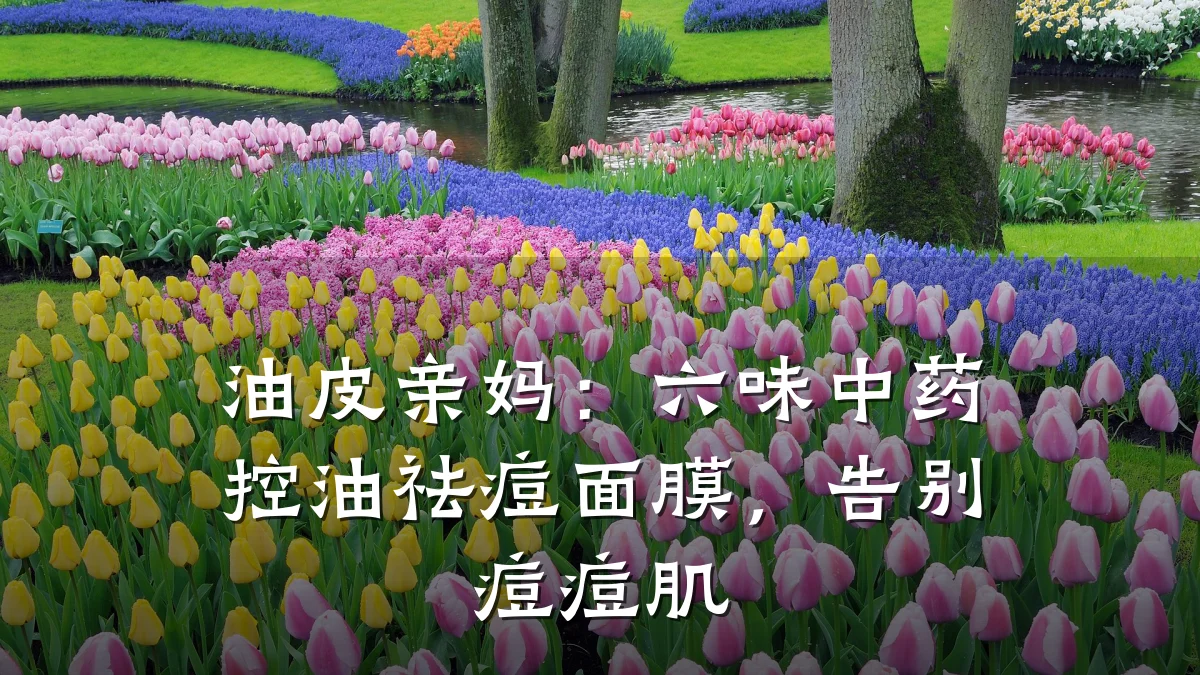 油皮亲妈：六味中药控油祛痘面膜，告别痘痘肌