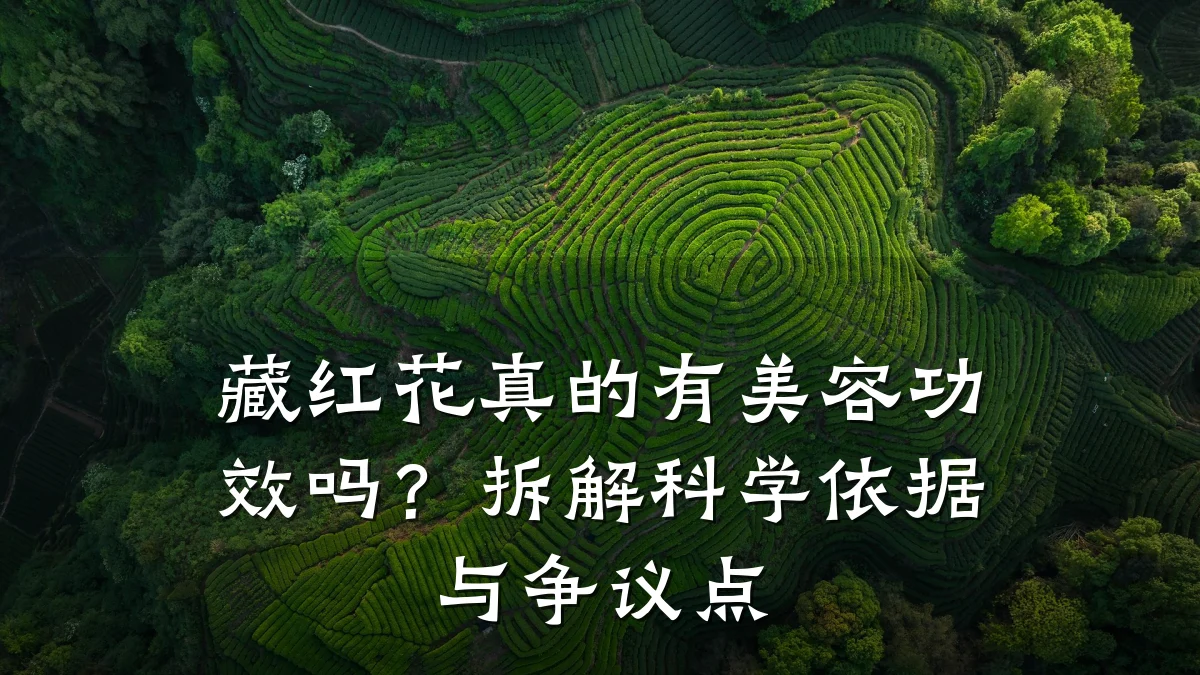 藏红花真的有美容功效吗？拆解科学依据与争议点