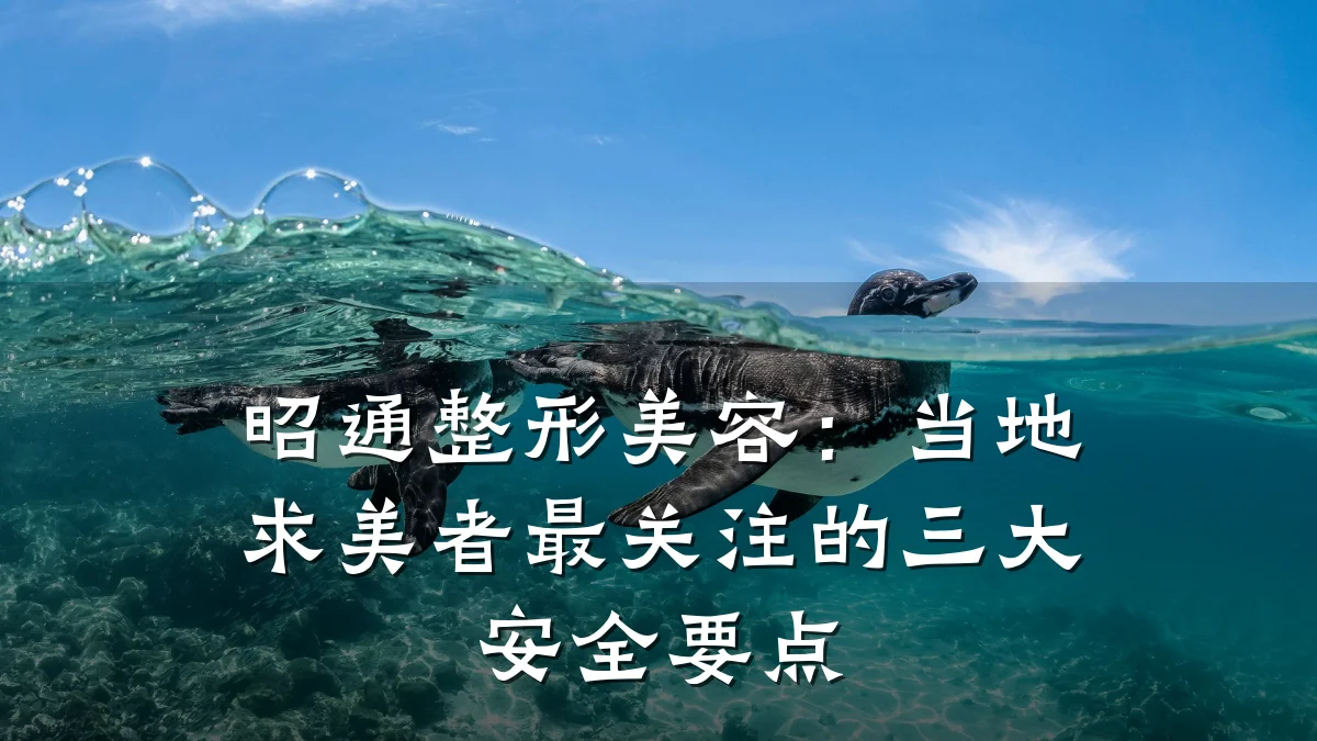 昭通整形美容：当地求美者最关注的三大安全要点
