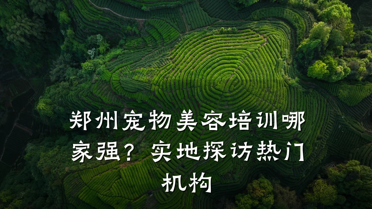 郑州宠物美容培训哪家强？实地探访热门机构