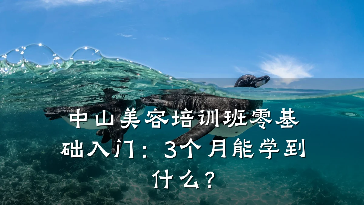 中山美容培训班零基础入门：3个月能学到什么？
