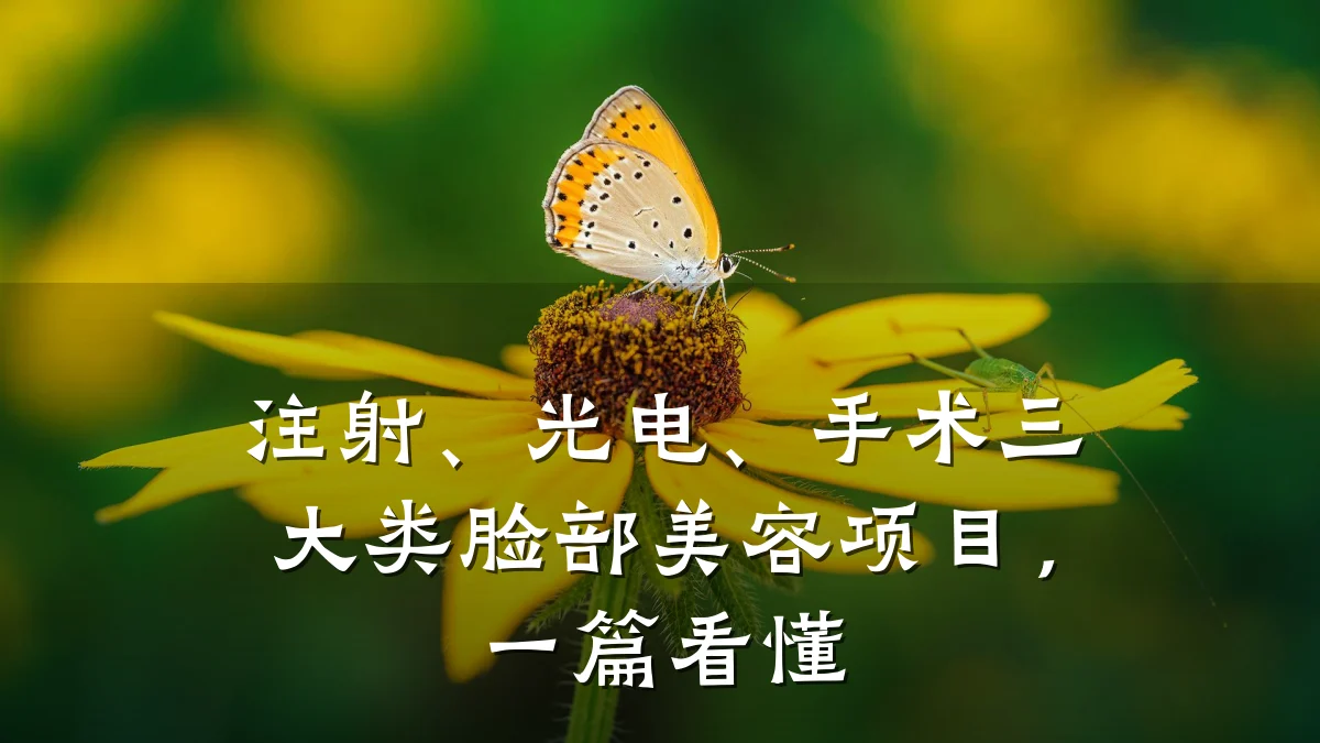 注射、光电、手术三大类脸部美容项目，一篇看懂