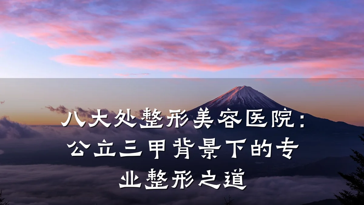 八大处整形美容医院:公立三甲背景下的专业整形之道