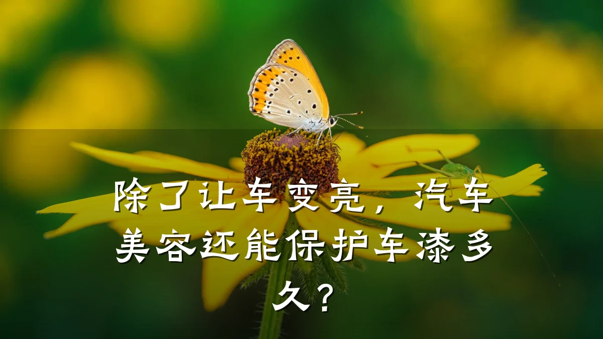 除了让车变亮,汽车美容还能保护车漆多久?