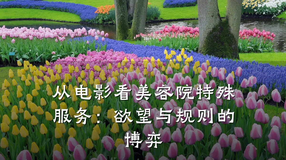 从电影看美容院特殊服务:欲望与规则的博弈