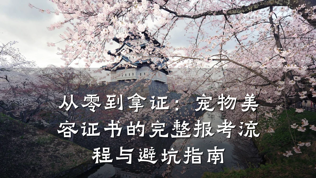 从零到拿证：宠物美容证书的完整报考流程与避坑指南