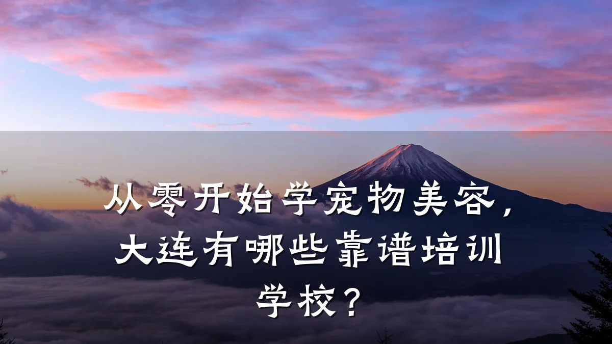 从零开始学宠物美容,大连有哪些靠谱培训学校?