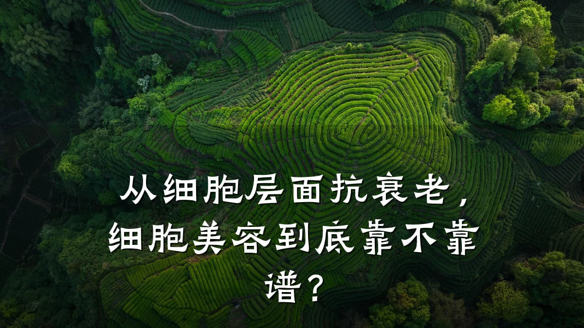 从细胞层面抗衰老，细胞美容到底靠不靠谱？