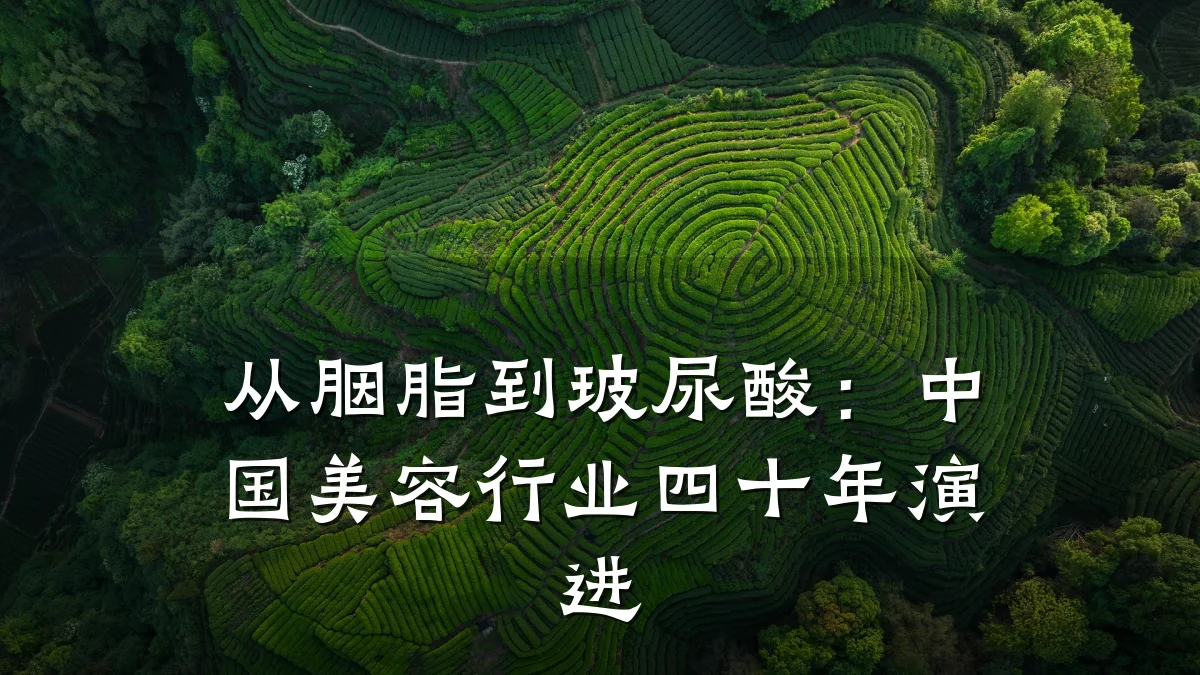 从胭脂到玻尿酸:中国美容行业四十年演进