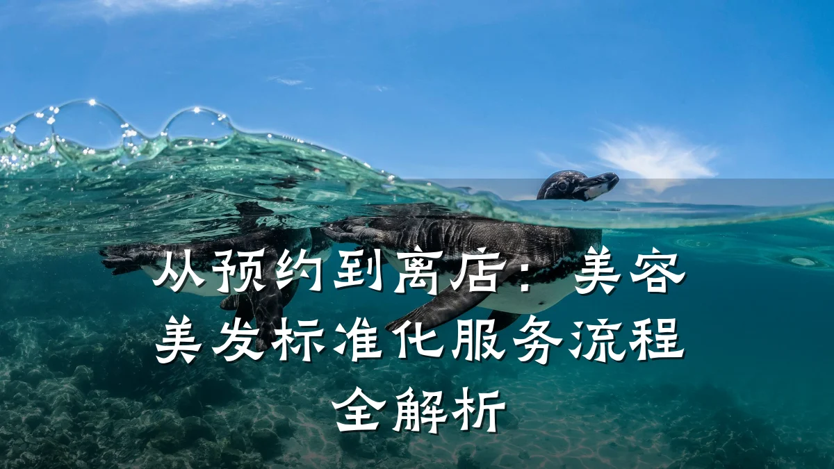 从预约到离店：美容美发标准化服务流程全解析
