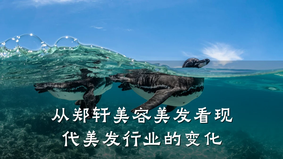 从郑轩美容美发看现代美发行业的变化