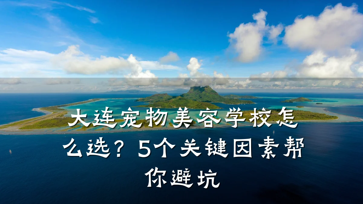 大连宠物美容学校怎么选?5个关键因素帮你避坑
