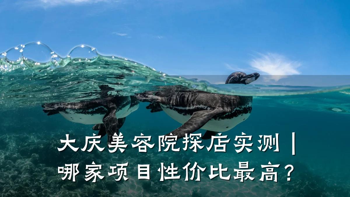 大庆美容院探店实测｜哪家项目性价比最高？