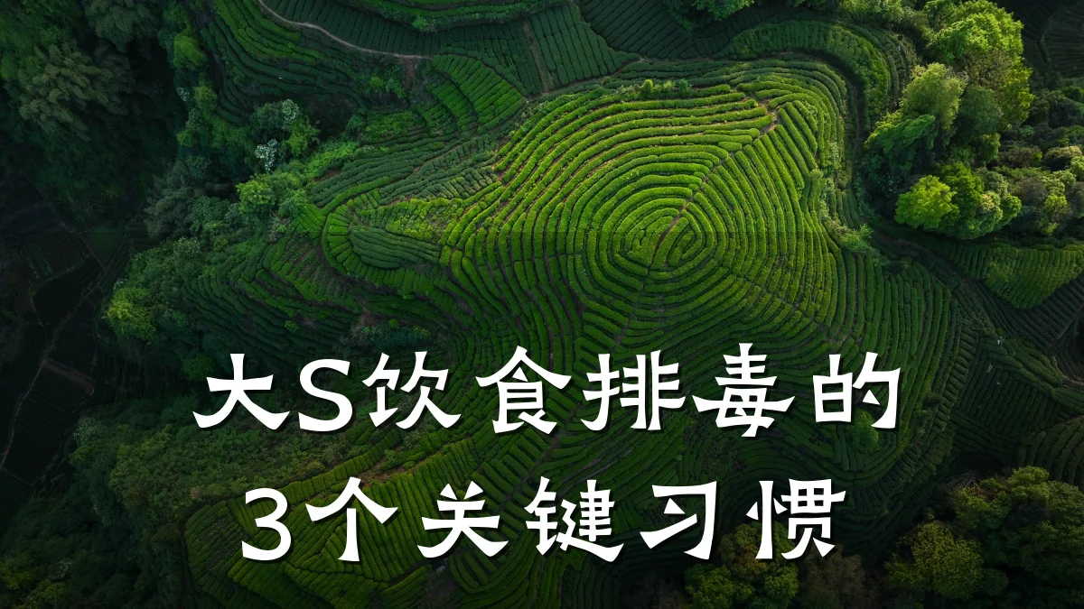 大S饮食排毒的3个关键习惯