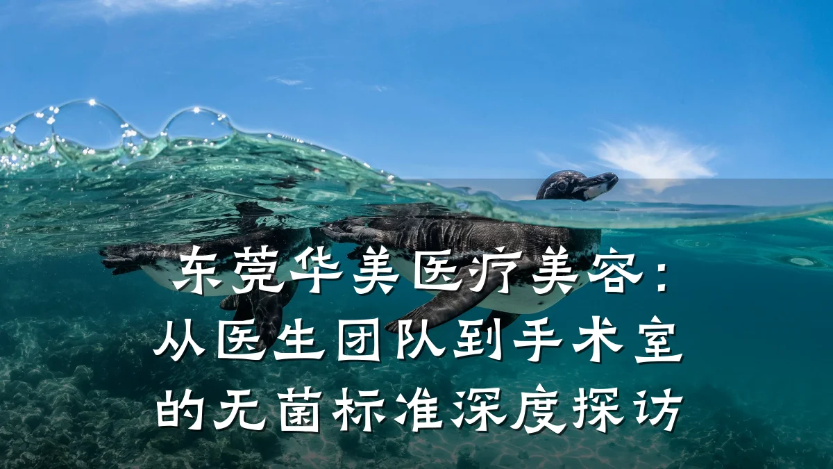 东莞华美医疗美容：从医生团队到手术室的无菌标准深度探访