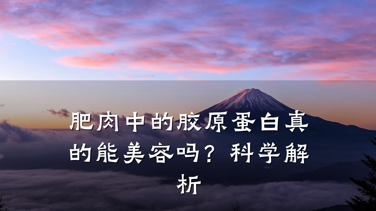 肥肉中的胶原蛋白真的能美容吗？科学解析
