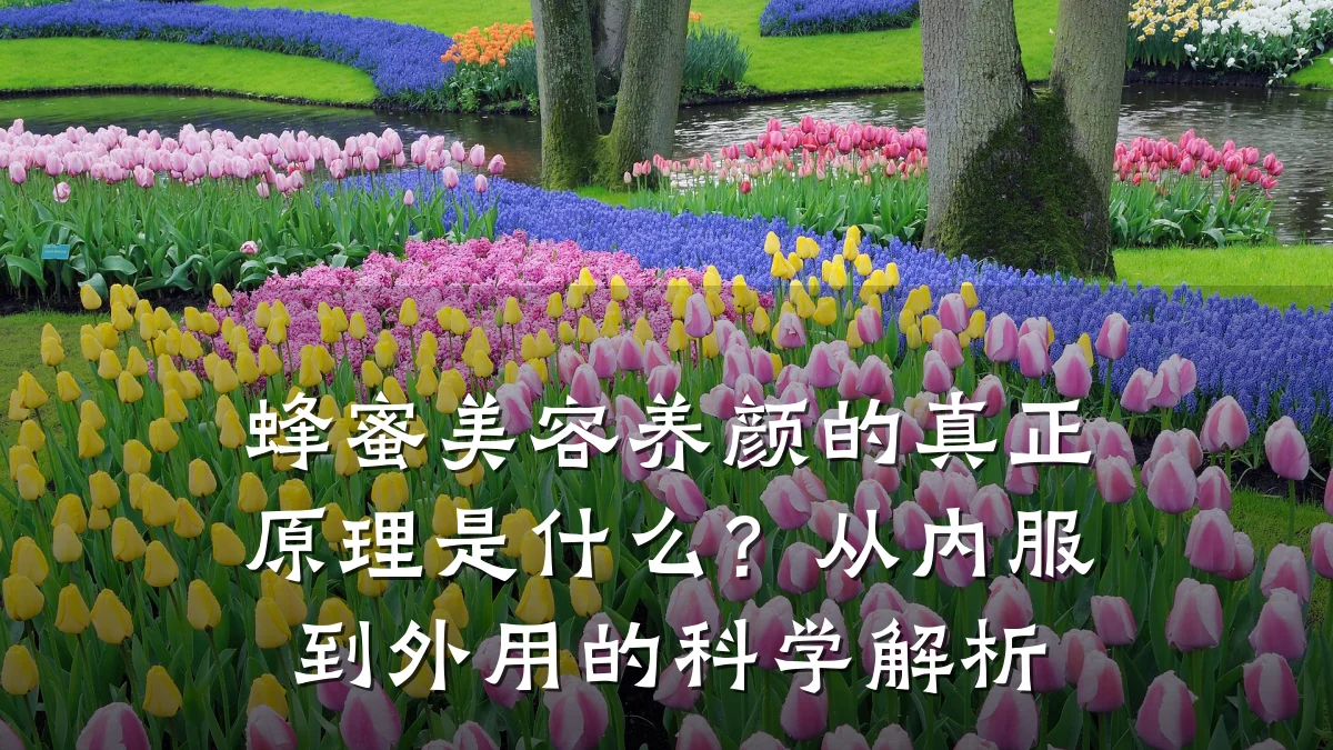 蜂蜜美容养颜的真正原理是什么?从内服到外用的科学解析
