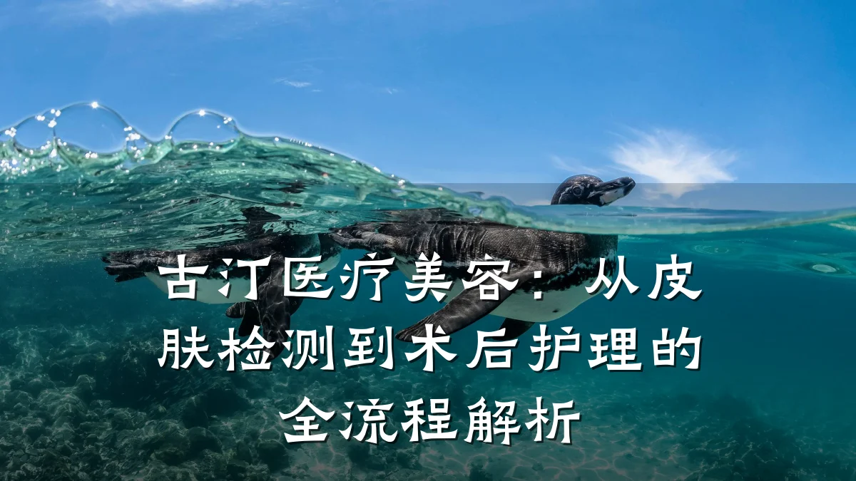 古汀医疗美容：从皮肤检测到术后护理的全流程解析