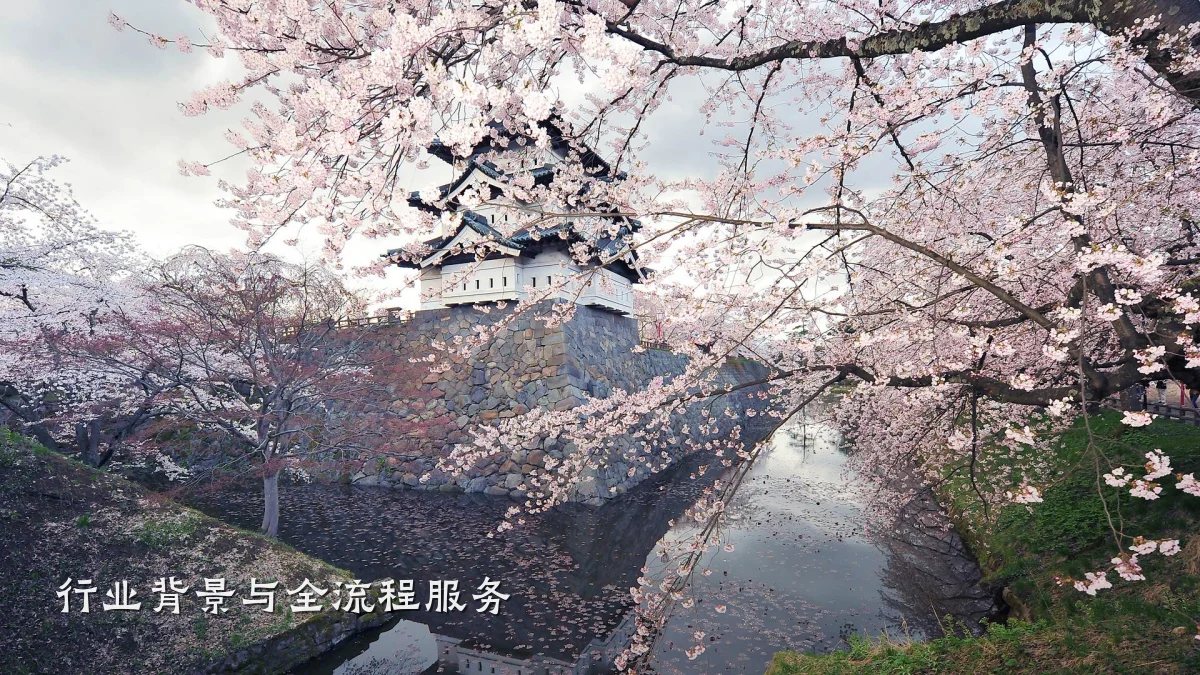 行业背景与全流程服务