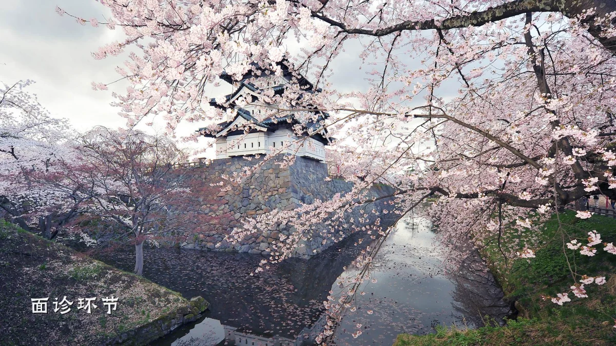 面诊环节