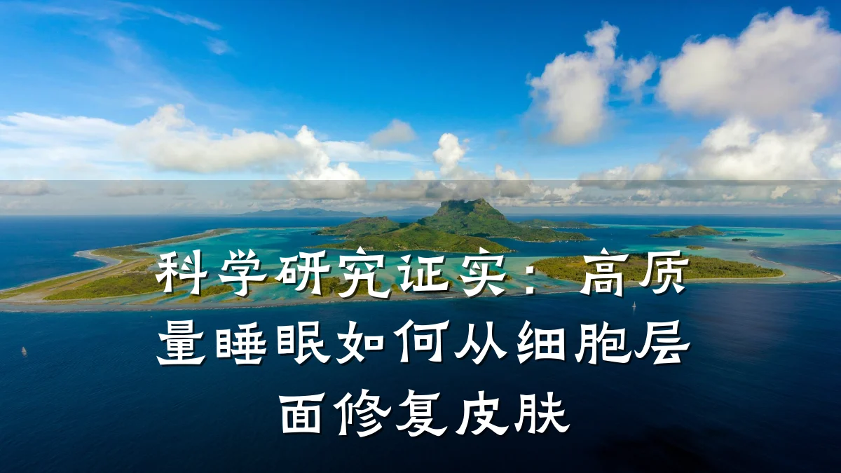 科学研究证实：高质量睡眠如何从细胞层面修复皮肤
