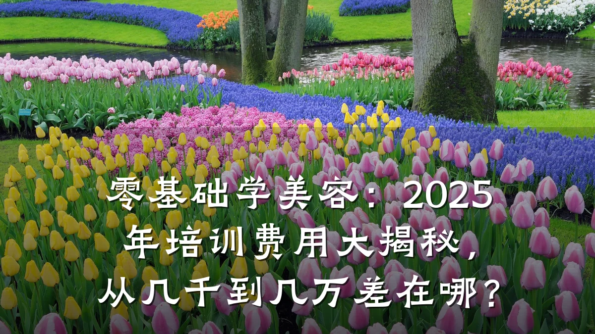 零基础学美容:2025年培训费用大揭秘,从几千到几万差在哪?