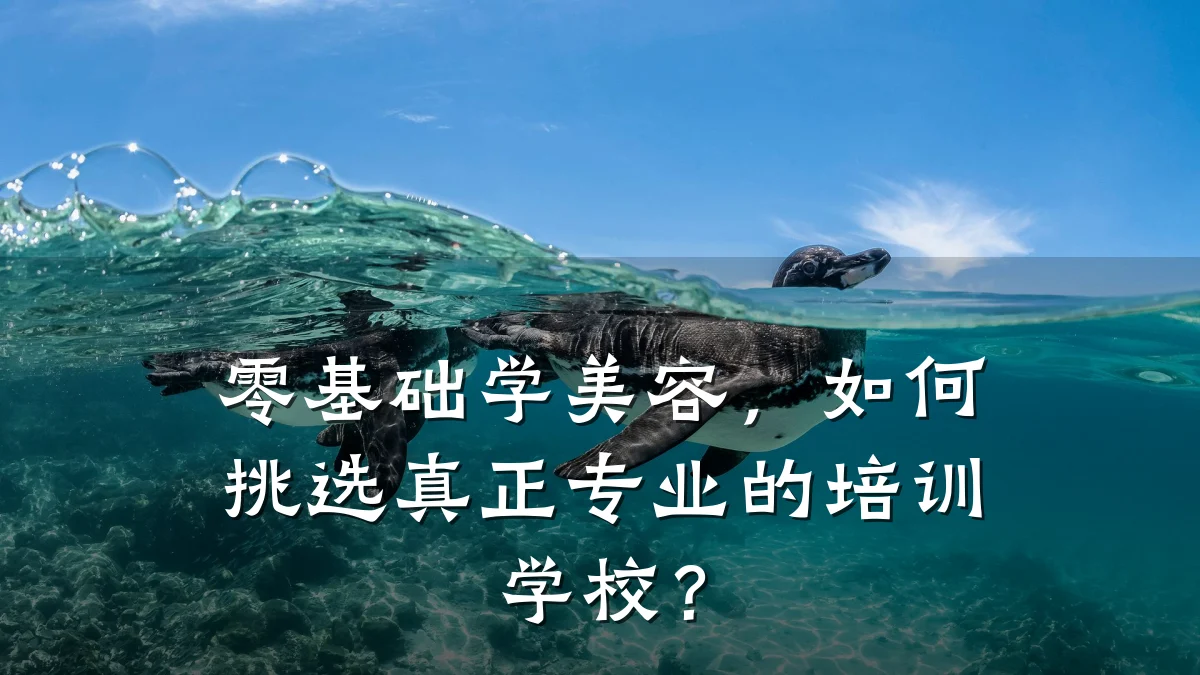 零基础学美容,如何挑选真正专业的培训学校?