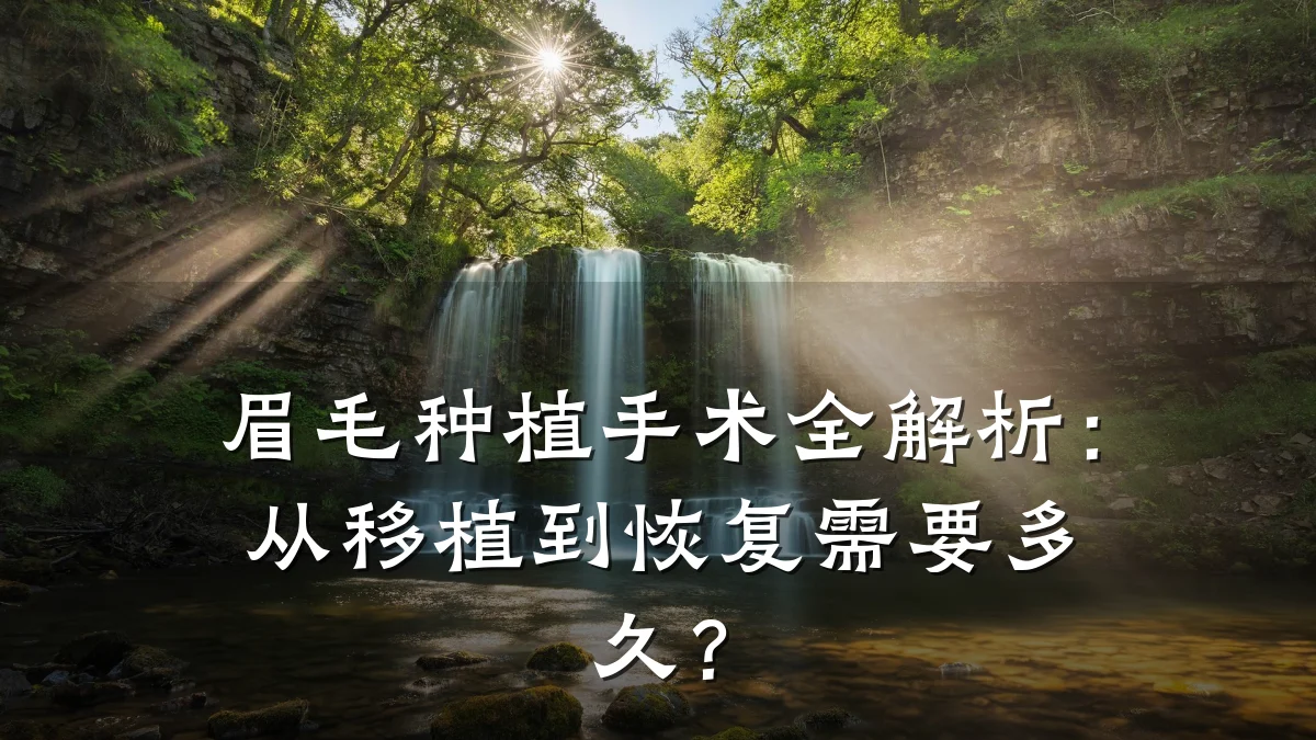 眉毛种植手术全解析:从移植到恢复需要多久?