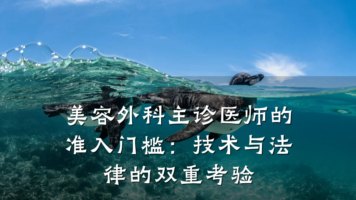 美容外科主诊医师的准入门槛:技术与法律的双重考验