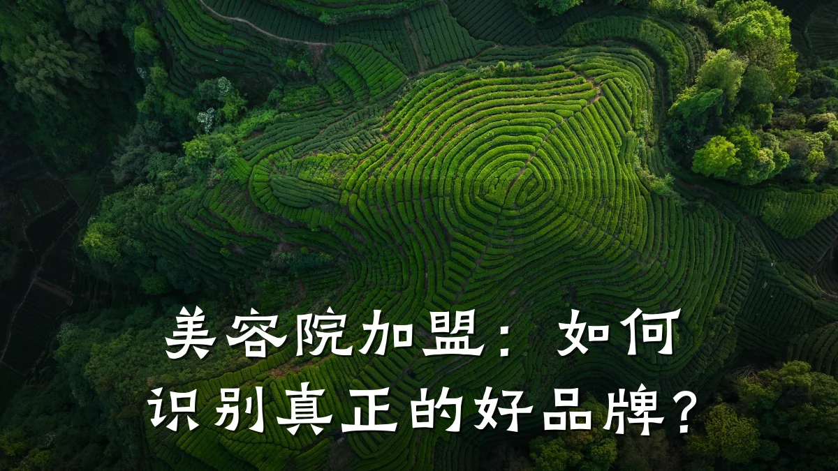 美容院加盟：如何识别真正的好品牌？