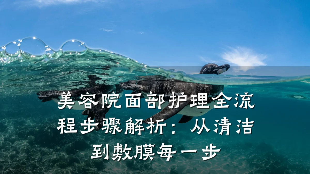 美容院面部护理全流程步骤解析:从清洁到敷膜每一步