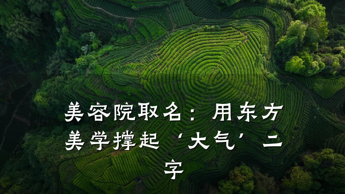 美容院取名：用东方美学撑起‘大气’二字