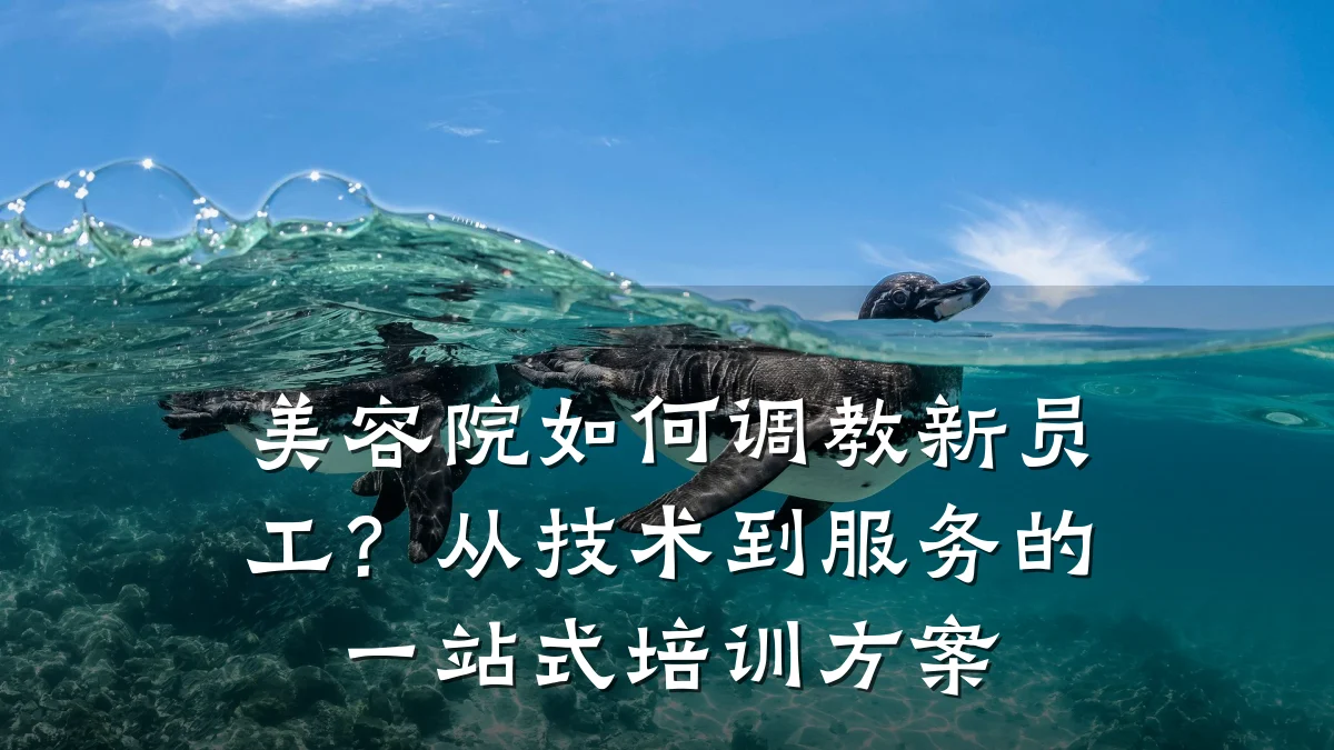 美容院如何调教新员工?从技术到服务的一站式培训方案