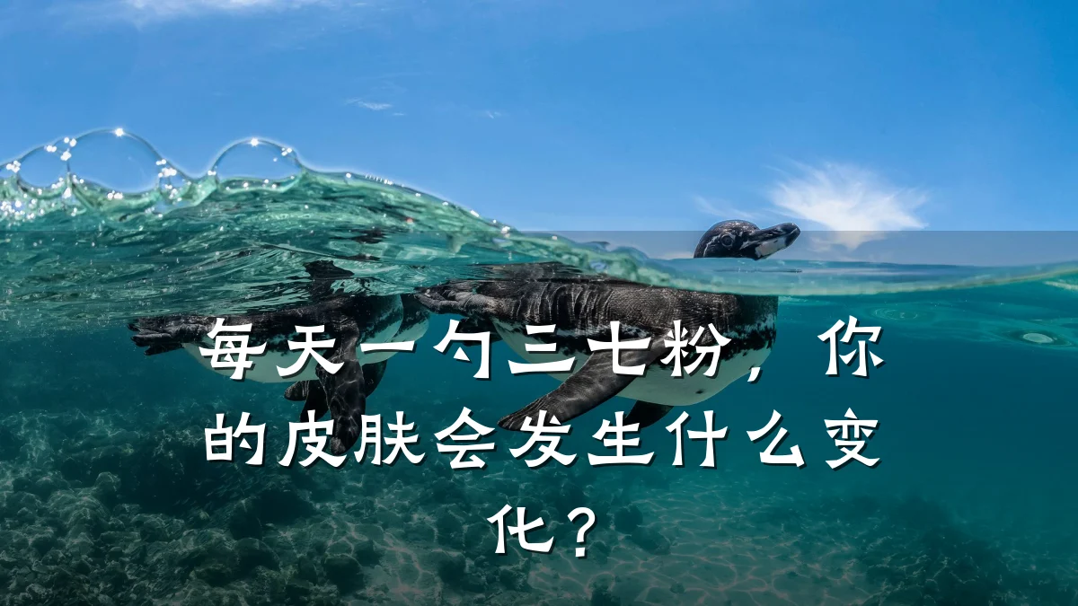 每天一勺三七粉，你的皮肤会发生什么变化？