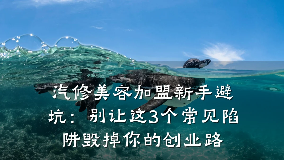 汽修美容加盟新手避坑：别让这3个常见陷阱毁掉你的创业路