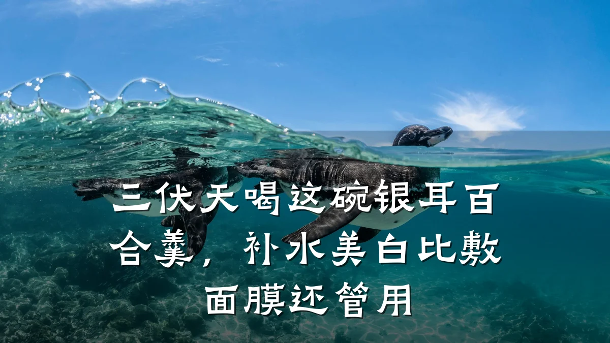 三伏天喝这碗银耳百合羹，补水美白比敷面膜还管用