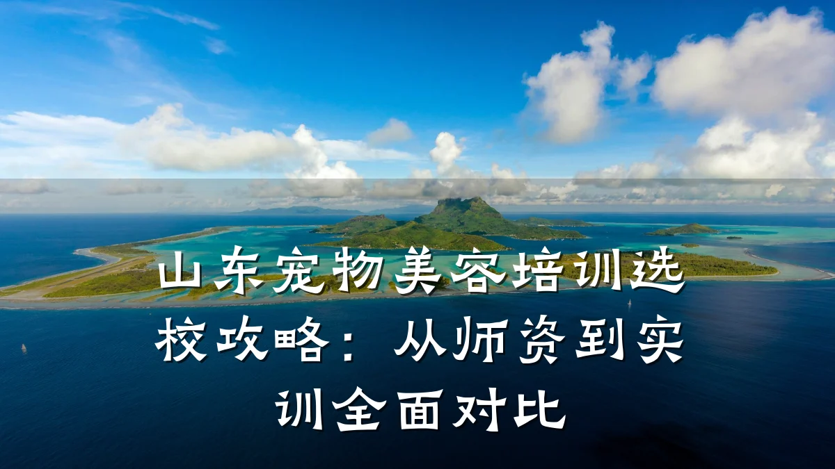 山东宠物美容培训选校攻略：从师资到实训全面对比