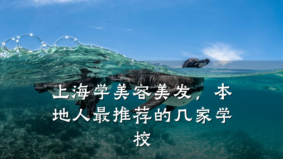 上海学美容美发，本地人最推荐的几家学校
