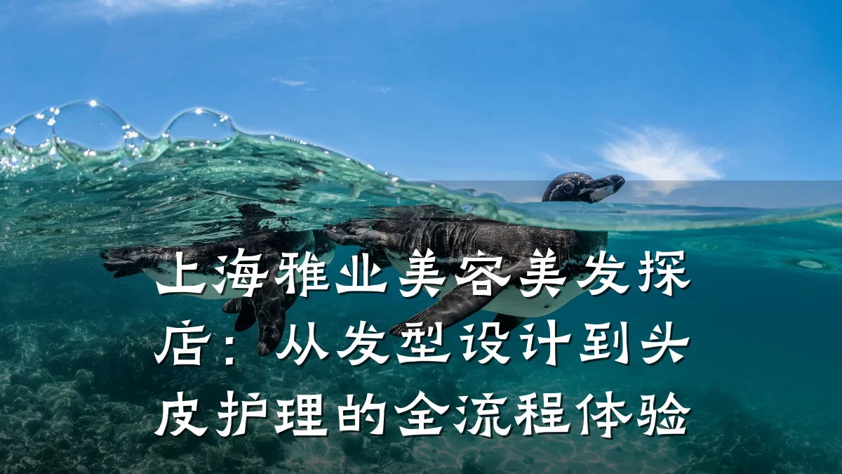 上海雅业美容美发探店：从发型设计到头皮护理的全流程体验