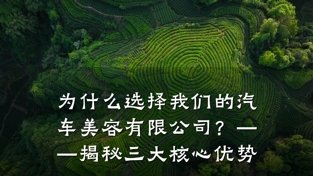 为什么选择我们的汽车美容有限公司?——揭秘三大核心优势